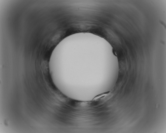 X0000097490184200803142005