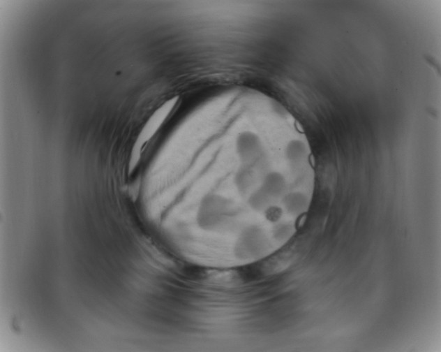 X0000097490185200803142005