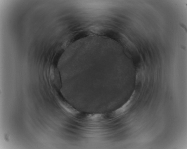 X0000097490186200803142005