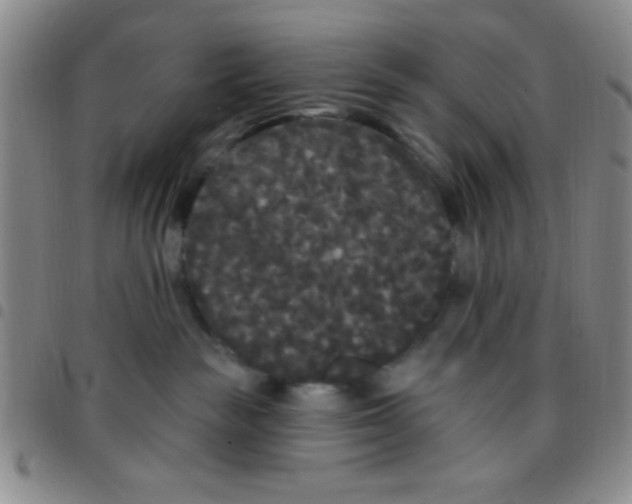 X0000097490189200803142005