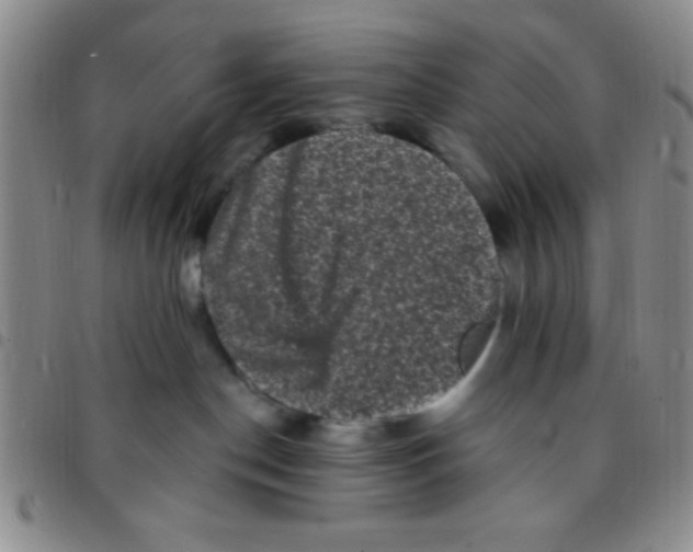 X0000097490190200803142005