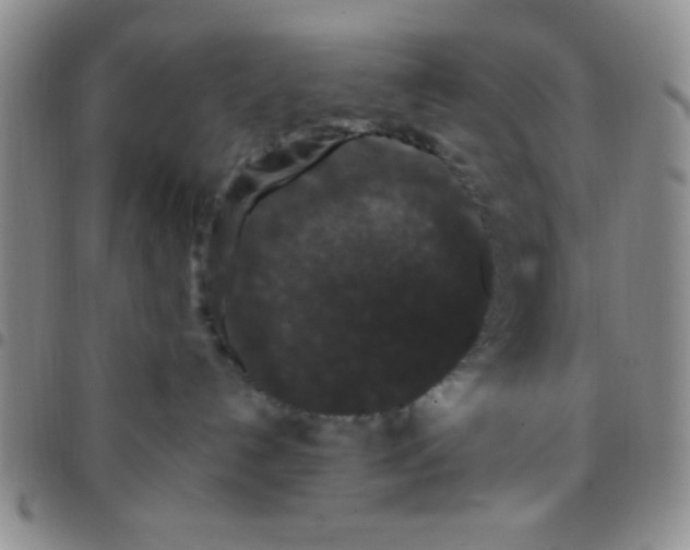 X0000097490192200803142005