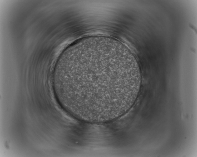 X0000097490193200803142005