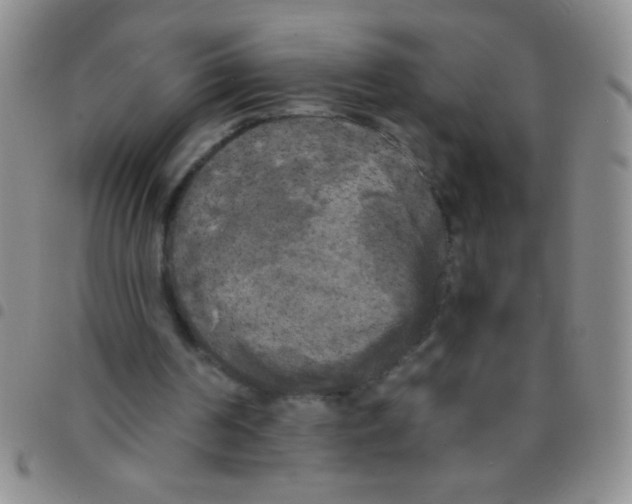 X0000097490194200803142005