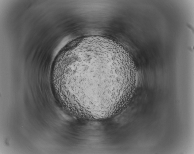 X0000097490195200803142005