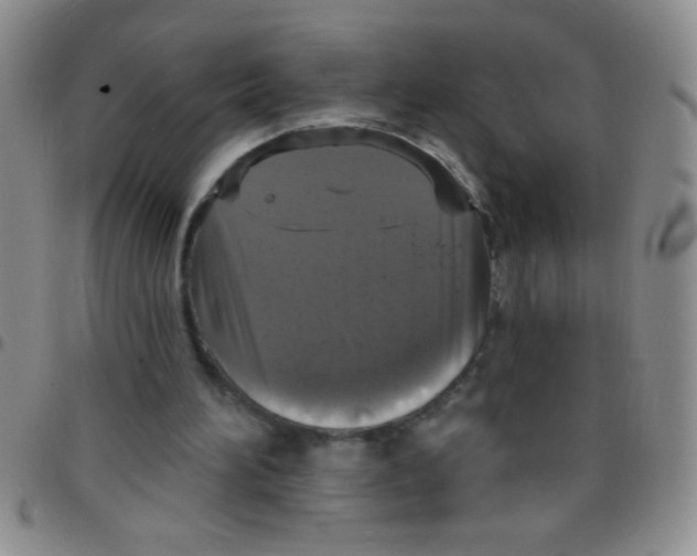 X0000097490196200803142005