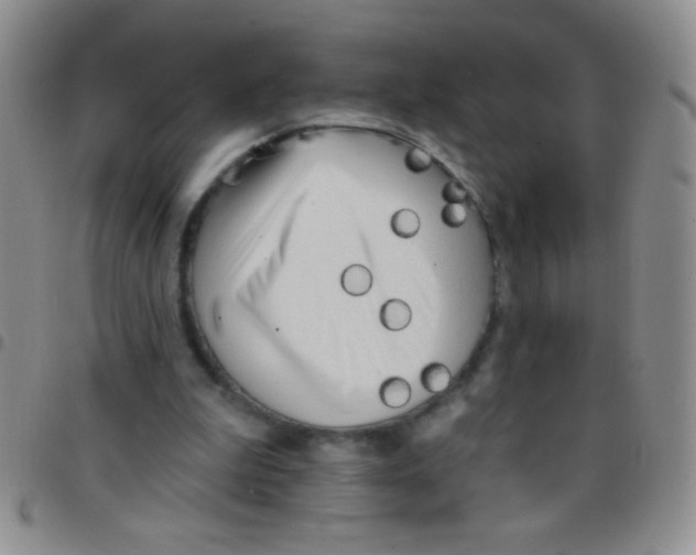 X0000097490199200803142004