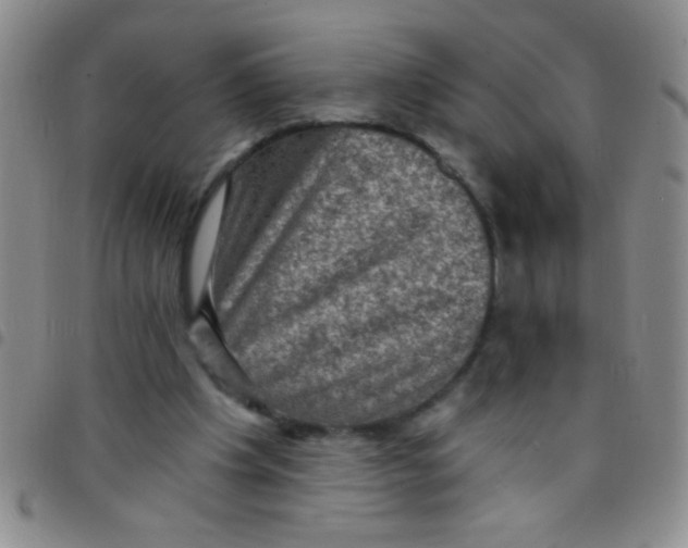 X0000097490201200803142004