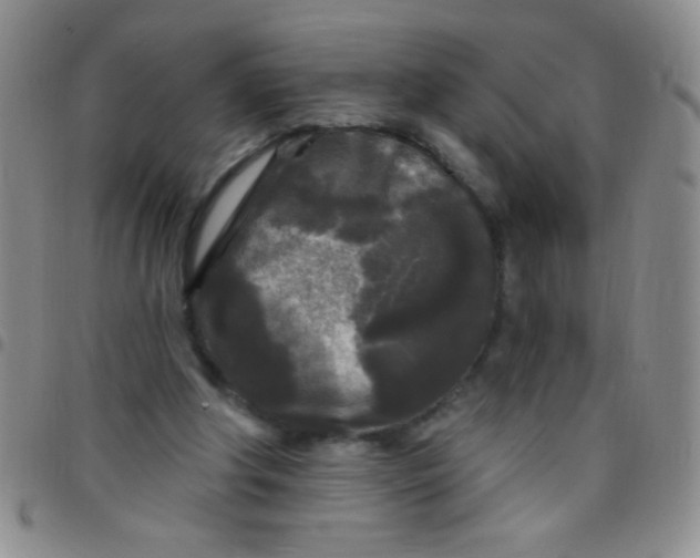 X0000097490202200803142004