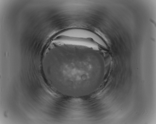 X0000097490203200803142004