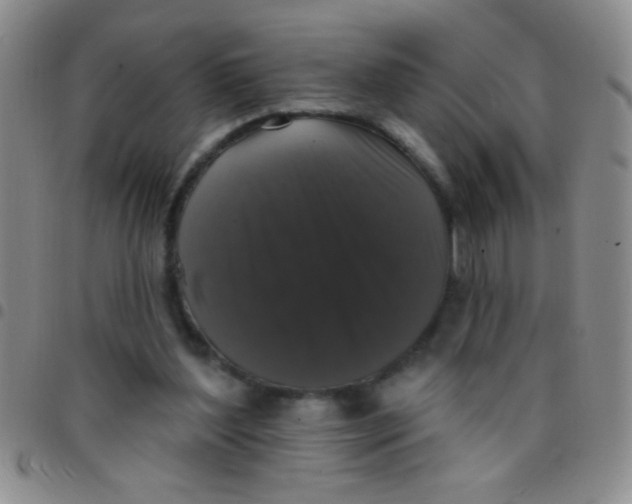 X0000097490204200803142004