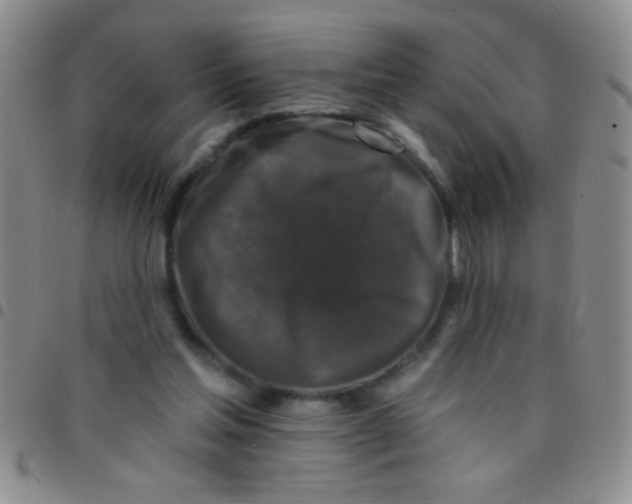 X0000097490205200803142004