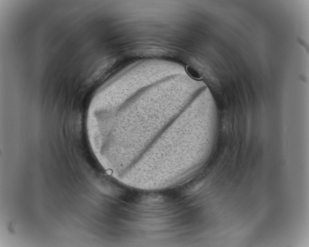 X0000097490206200803142004