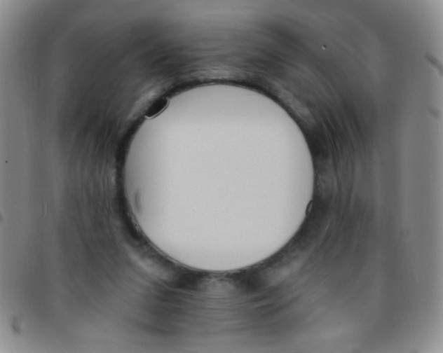 X0000097490207200803142004