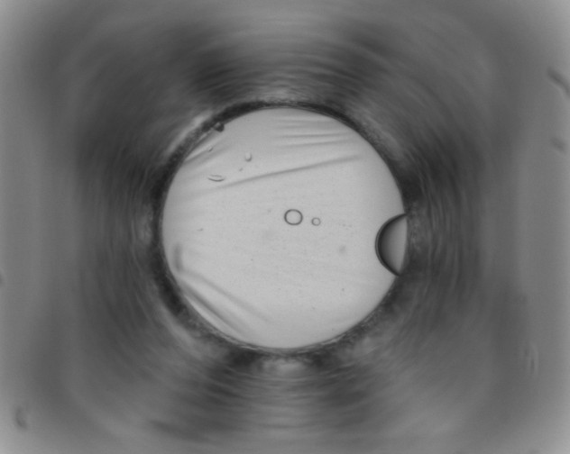 X0000097490208200803142004