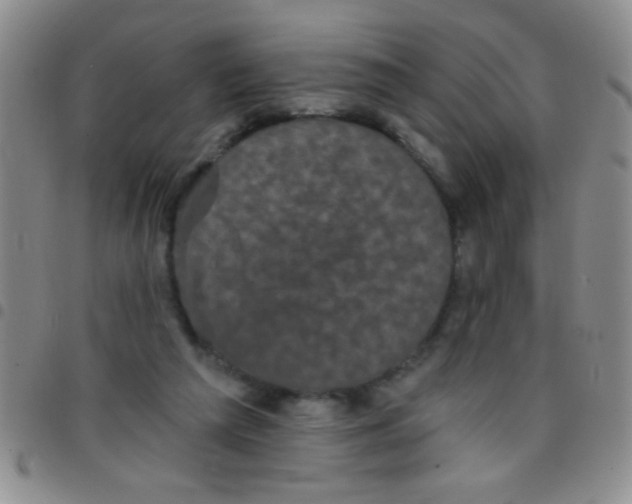 X0000097490209200803142004