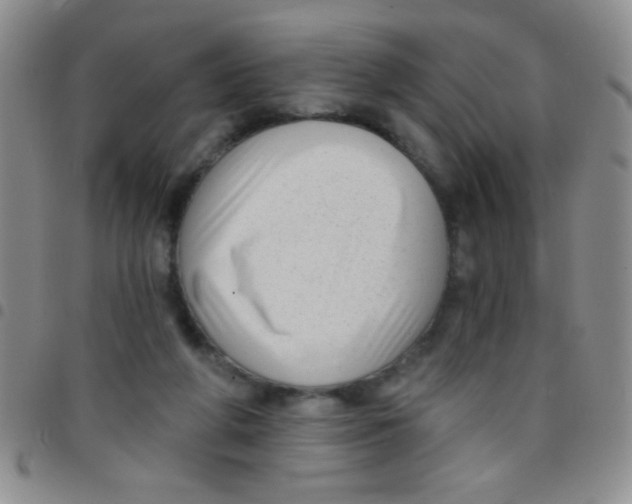 X0000097490210200803142004