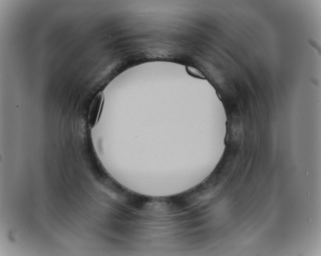 X0000097490211200803142004