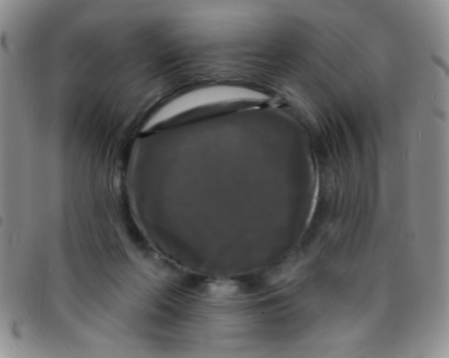 X0000097490214200803142004