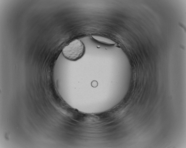 X0000097490215200803142004