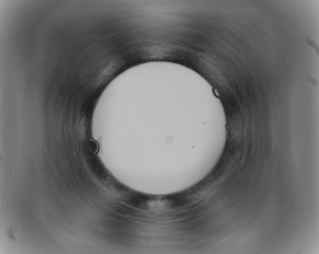 X0000097490216200803142004