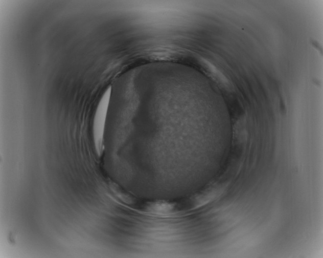 X0000097490217200803142004