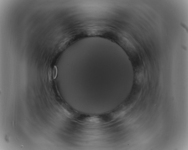 X0000097490219200803142004