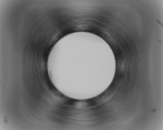 X0000097490220200803142004