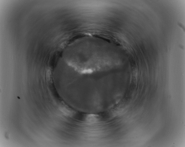 X0000097490222200803142004