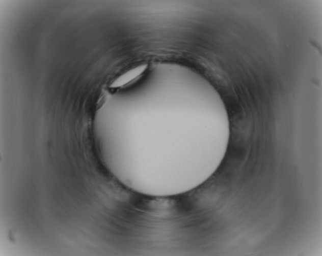 X0000097490225200803142004