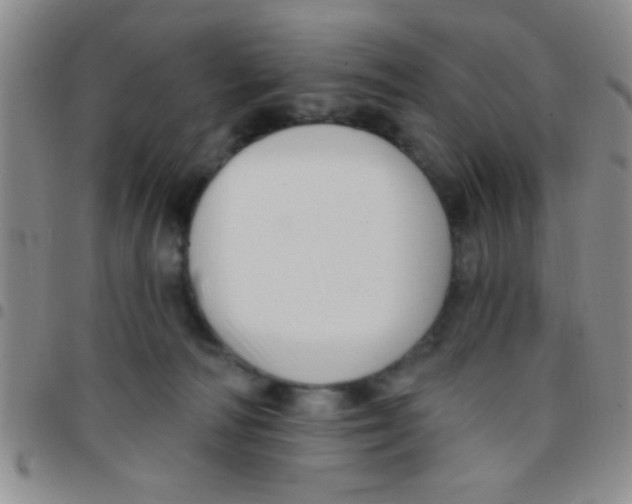 X0000097490226200803142004