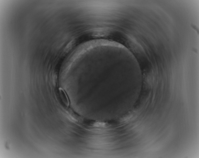 X0000097490227200803142004