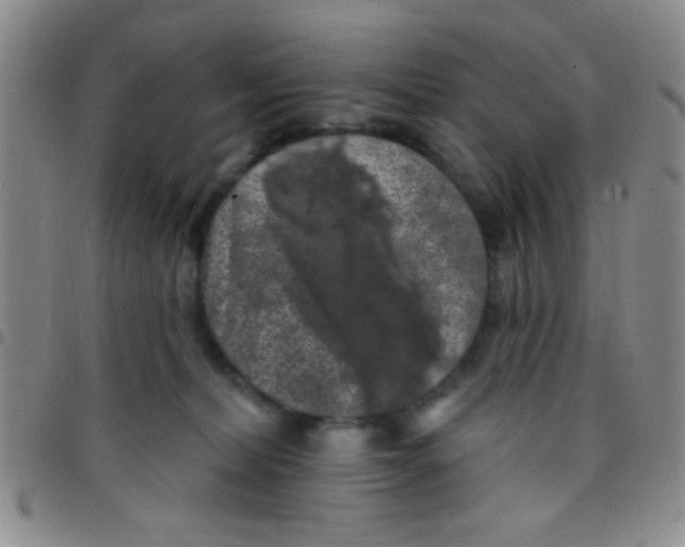 X0000097490228200803142004