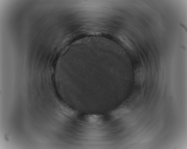 X0000097490229200803142004