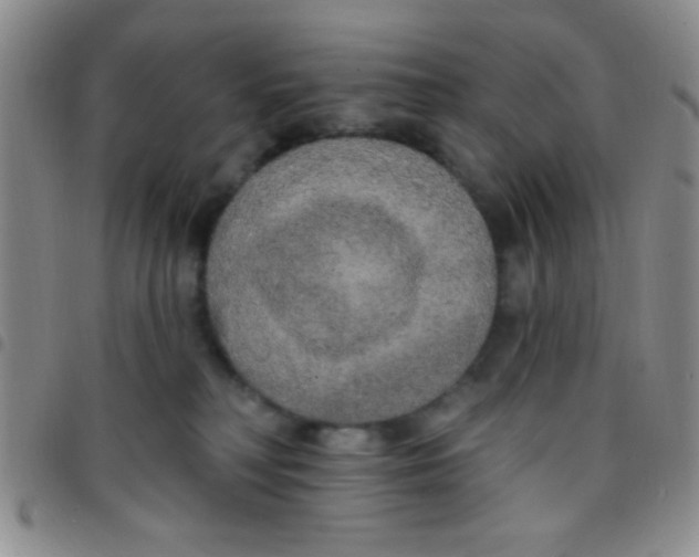 X0000097490230200803142004