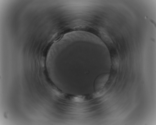 X0000097490232200803142004