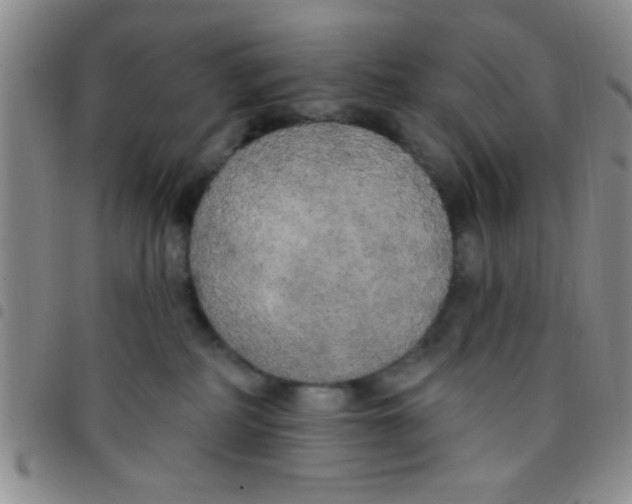 X0000097490234200803142004