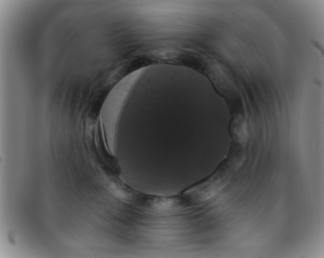 X0000097490235200803142004