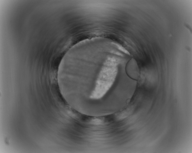 X0000097490236200803142004