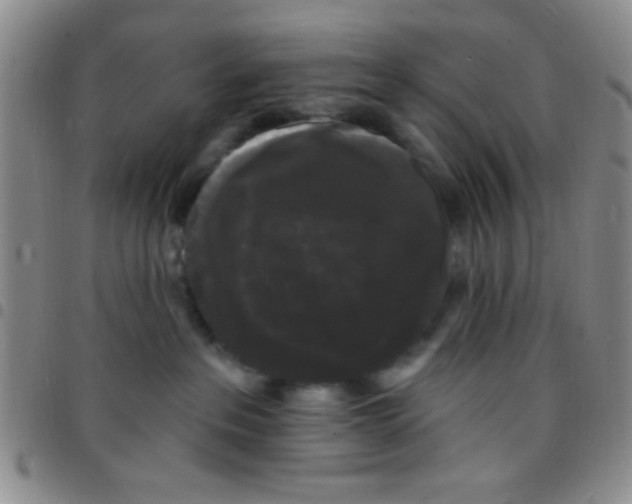 X0000097490237200803142004