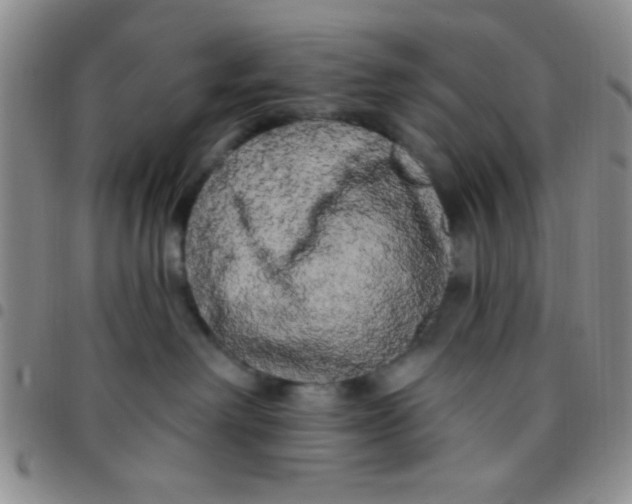 X0000097490238200803142004