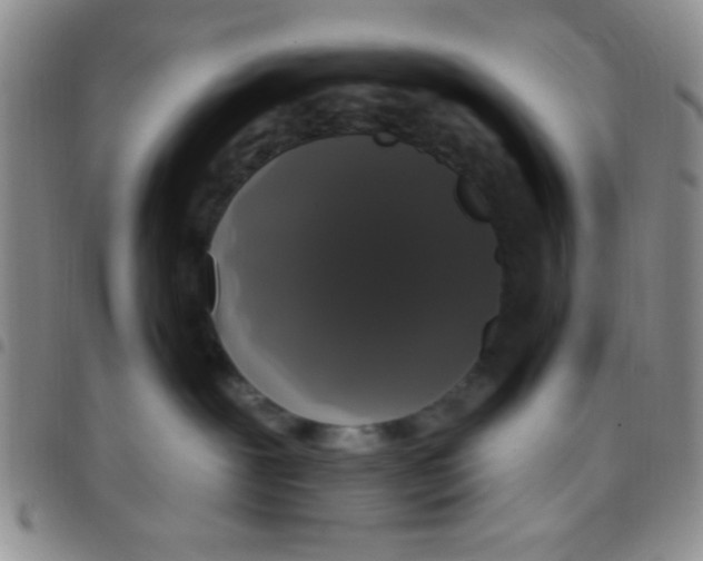 X0000097490239200803142004