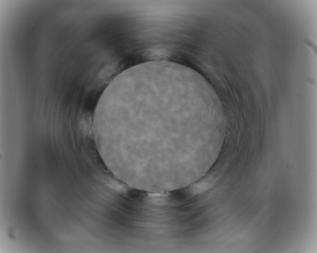 X0000097490240200803142004