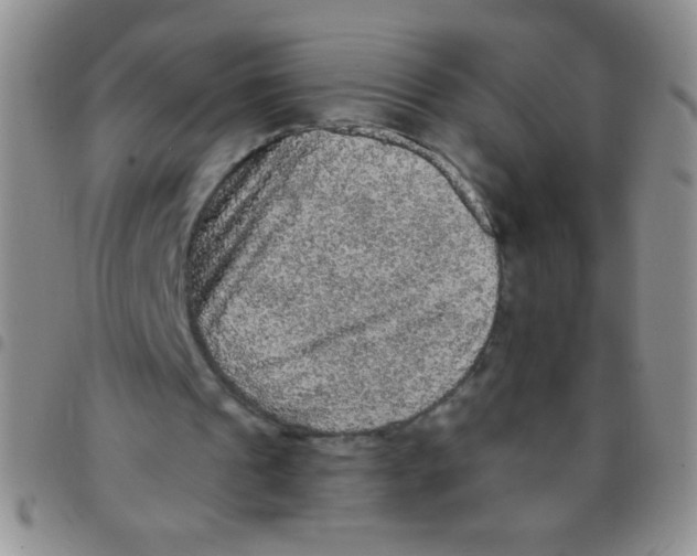 X0000097490241200803142003