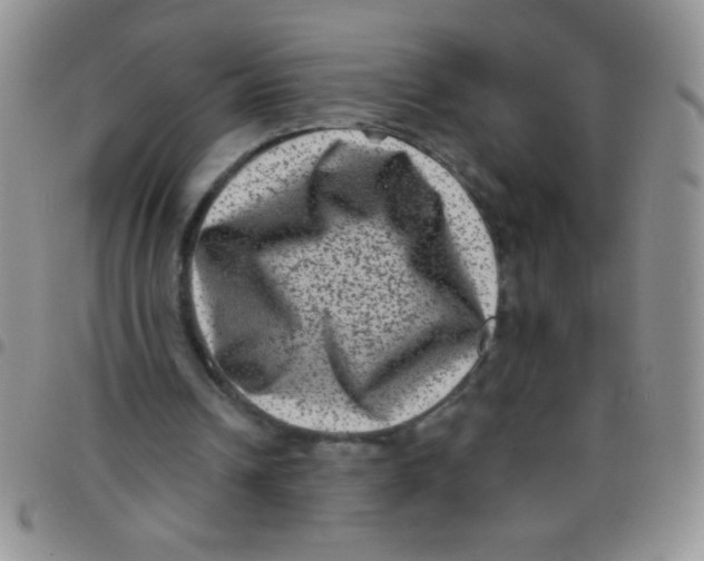 X0000097490242200803142003