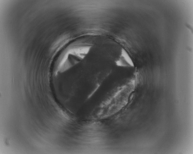 X0000097490243200803142003