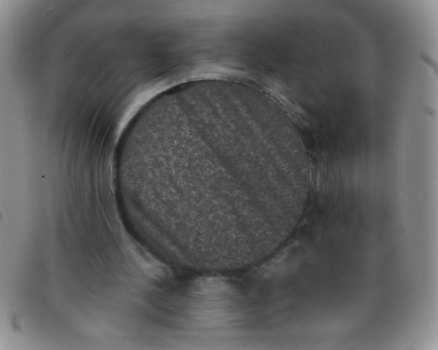 X0000097490244200803142003