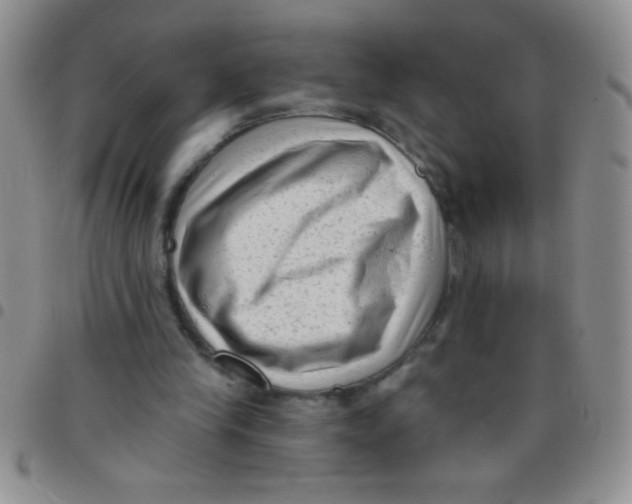 X0000097490245200803142003