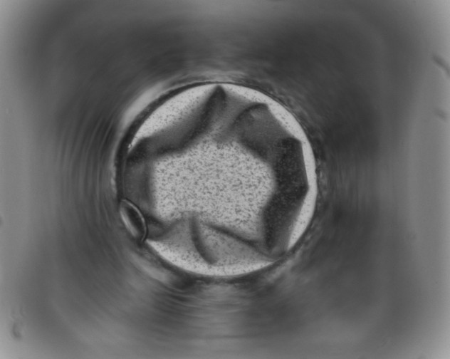 X0000097490246200803142003