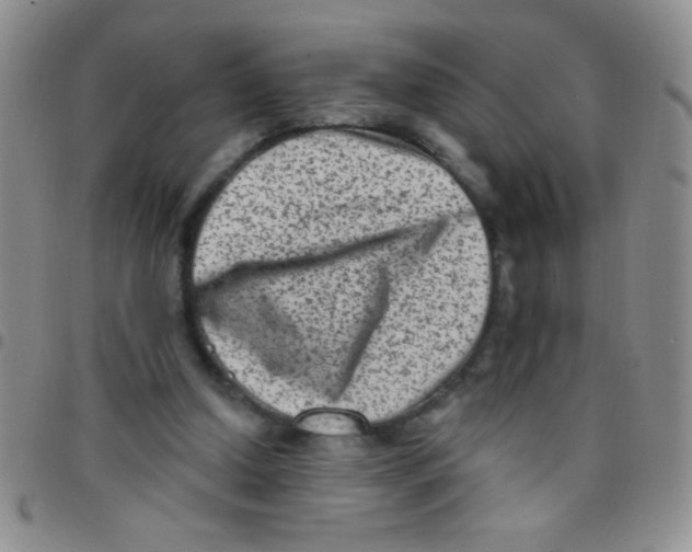 X0000097490250200803142003